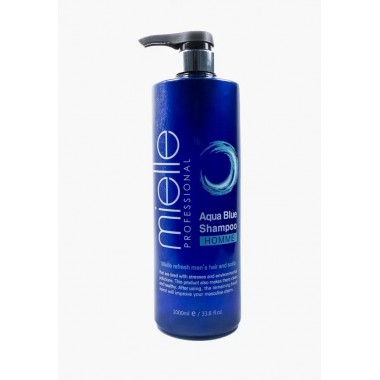 Шампунь для мужчин, 1000 мл — Professional Aqua Blue Shampoo Homm