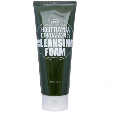 Пенка очищающая с экстрактом хауттюйнии, 120 г — Houttuynia cordata 24% cleansing foam