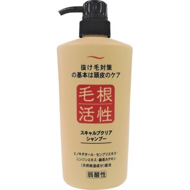 Шампунь для укрепления и роста волос — Scalp lear Shampoo