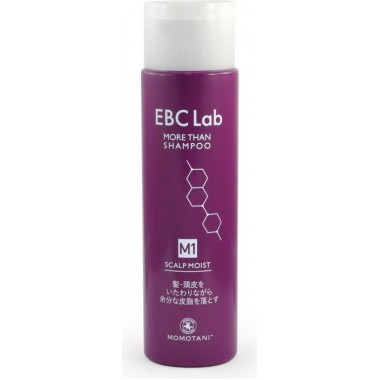 Увлажняющий шампунь для сухой кожи головы, 290 мл — EBC Lab Scalp Moist More than Shampoo