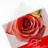 Тканевая маска с экстрактом розы, 27 мл * 5 шт — Rose Cellulose Mask, 27 ml*5pcs