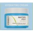 Увлажняющий крем с гиалуроновой кислотой и ниацинамидом, 50мл, Consly — WATER SHOT Enriched Hydrating Hyaluronic and Niacinamide Cream, 50 ml
